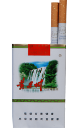 黃果樹香煙與貴州軟件開發的特色發展路徑